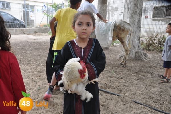 kidrawdaanimals510 (28).JPG